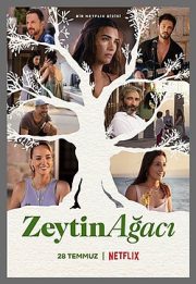 Zeytin Ağacı 2.Sezon Full İzle